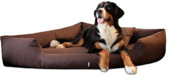 Tierlando TRIVIA orthopädisches Hundebett braun 1 m, 25 cm, 1 m – Bild 1 von 3