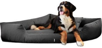 Tierlando TRIVIA orthopädisches Hundebett schwarz/ graphit 1 m, 25 cm, 1 m – Bild 1 von 3