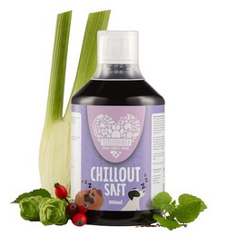 Produktbild von Tierliebhaber Chillout Saft für Hunde - 500 ml