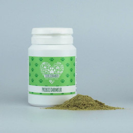 Produktbild von Tierliebhaber Probiotika Darmpflege Kur für Hunde - 75 g