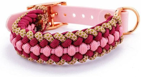 Produktbild von Tierluxe Hunde-Halsband Foxy Paracord Biothane Metall Handgemacht