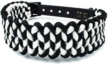 Produktbild von Tierluxe Hunde-Halsband Historisch Paracord Biothane Handgemacht