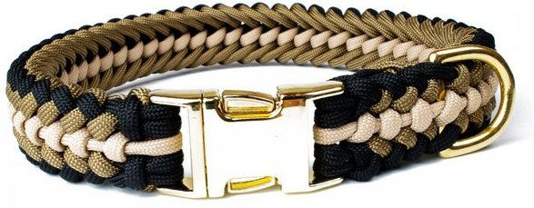 Produktbild von Tierluxe Hunde-Halsband Leo mit Steckschnalle Gold aus Paracord