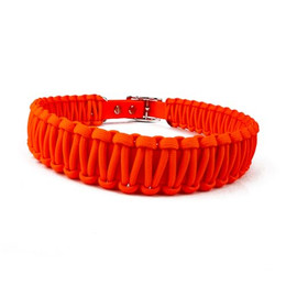 Produktbild von Tierluxe Hunde-Halsband Lori Biothane Paracord handgemacht