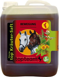 Produktbild von topteam top Bewegung Kräutersaft - 2,50 l