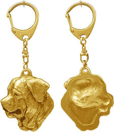 Produktbild von Tosa Inu Schlüsselanhänger mit Hundemotiv in Geschenkbox