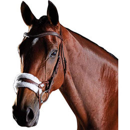 Trainingszaumzeug Collegiate ComFiTec für Pferde – Bild 1 von 4