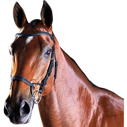 Trainingszaumzeug Reiten für Pferde Weatherbeeta Collegiate Comfitec – Bild 1 von 4