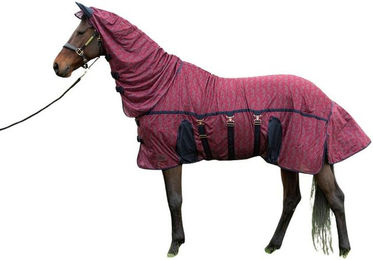 Produktbild von Trainingszügel für Pferde Harry's Horse