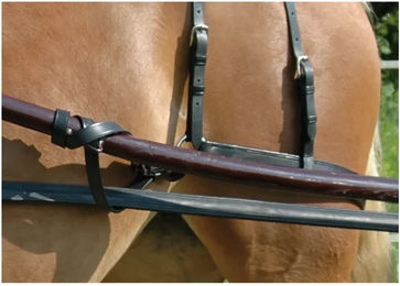 Produktbild von Traktathalter für Pferde Chetak