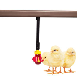 Produktbild von Tränkebecken Kunststoff für Vierkantrohr