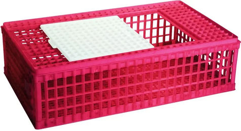 Transportbehälter für Geflügel aus Kunststoff mit 1 Tür – Bild 1 von 2