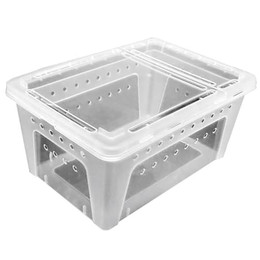 Produktbild von Transportbox für Reptilien Reptiles Planet