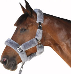 Produktbild von Transporthalfter für Pferde Canter