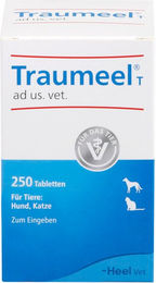 Traumeel T Tabletten - 250 Stück – Bild 1 von 4