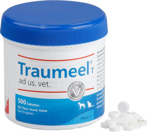 Traumeel T Tabletten - 500 Stück – Bild 1 von 4