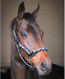 Produktbild von Travel-Halfter für Pferde Jump'In Collection One