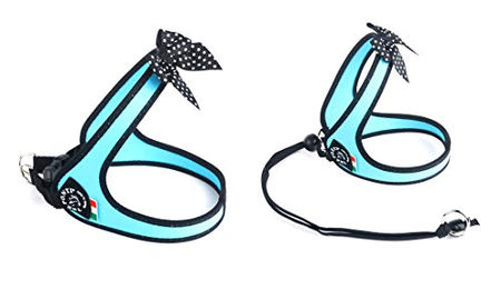 Tre Ponti Easy Fit Fashion Polka Dot Bow Hundegeschirr hellblau – Bild 1 von 3