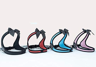 Produktbild von Tre Ponti Easy Fit Fashion Polka Dot Bow Hundegeschirr schwarz