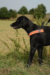 Produktbild von Tre Ponti TP1010 Primo Plus Hundegeschirr orange Größe M