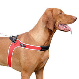 Tre Ponti TP500 Easy Fit Micro Trim Geschirr mit Ratsche-Verschluss und reflektierendem Rand rot – Bild 1 von 2