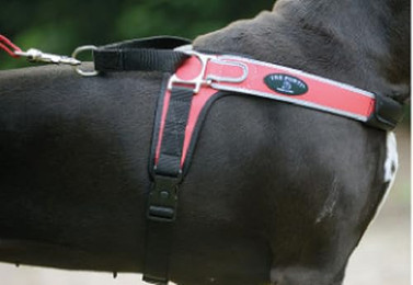 Produktbild von Tre Ponti TP855 Forza Hundegeschirr mit reflektierendem Rand rosa XXL