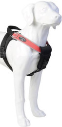 Produktbild von Tre Ponti TP885 Potenza Hundegeschirr mit reflektierendem Rand rot Größe L