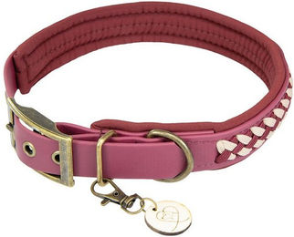 Produktbild von Trendfährte Hundehalsband BioThane®