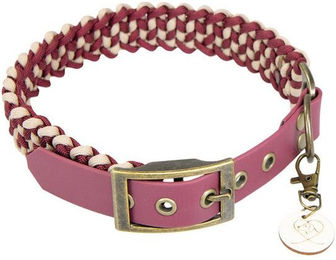 Produktbild von Trendfährte Hundehalsband Paracord