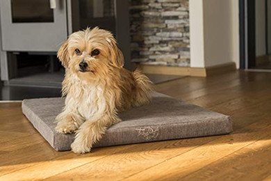 Produktbild von TrendPet VitaMedog 95°C Orthopädische Hundematte 110x80cm