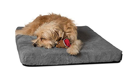 Produktbild von TrendPet VitaMedog Viskoelastische orthopädische Hundematratze grau