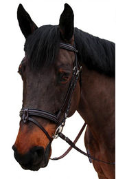 Produktbild von Trense Canter Nino