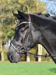 Produktbild von Trense Comfort Plus