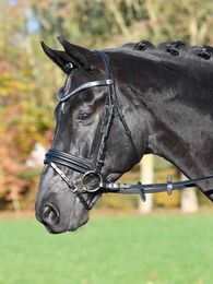 Produktbild von Trense Comfort schwarz/Strass