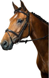 Produktbild von Trense DY Dy'on komb. Reithalfter Dyon Collection, Fancy Stitching