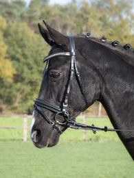 Produktbild von Trense FAMOUS