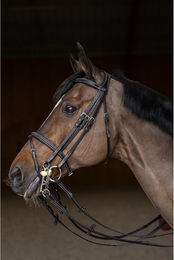 Produktbild von Trense HFI Double Jump