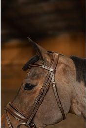 Produktbild von Trense HFI Edges