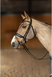 Produktbild von Trense HFI Edges