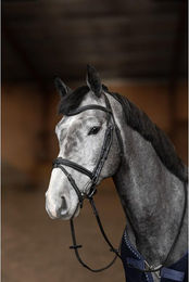 Produktbild von Trense HFI Flex