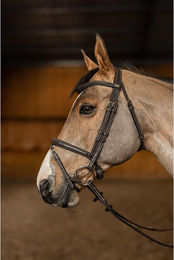 Produktbild von Trense HFI Flex