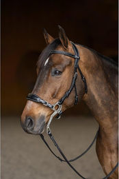 Produktbild von Trense HFI Hackamore