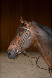 Produktbild von Trense HFI Padded