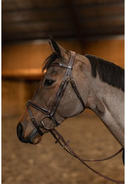 Produktbild von Trense HFI Painted