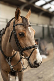 Produktbild von Trense HFI Pro Line Milano