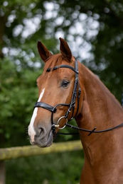 Trense Horze Chio – Bild 1 von 5