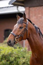 Trense Horze Chio – Bild 1 von 4