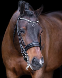 Produktbild von Trense Imperial Riding Athena