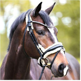 Produktbild von Trense Joyce aus Leder mit Lammfell von Kavalkade