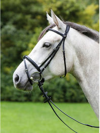 Produktbild von Trense Kieffer Anja Beran combined noseband and chip pad